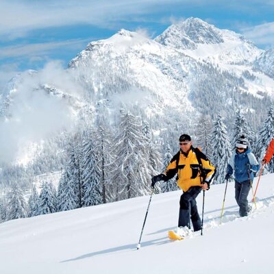 Snowshoe hikes