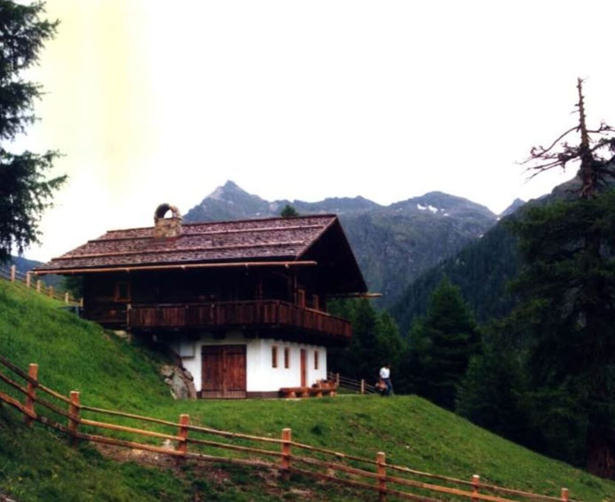 hut in summer