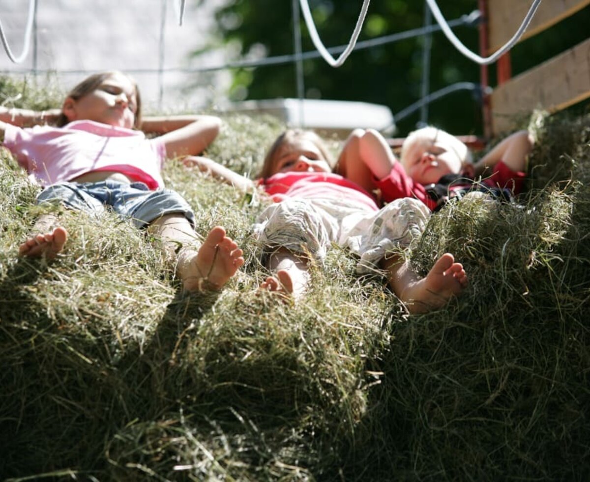 Small break in the hay