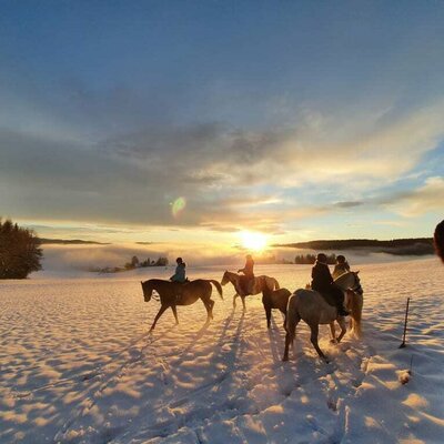 winter horseback riding while the sun goes down