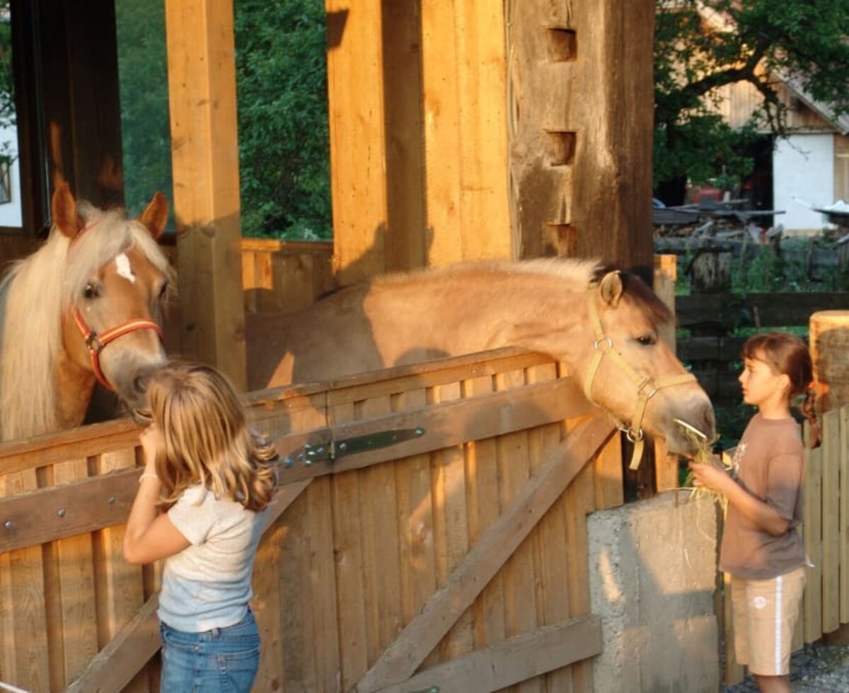 2 of our horses