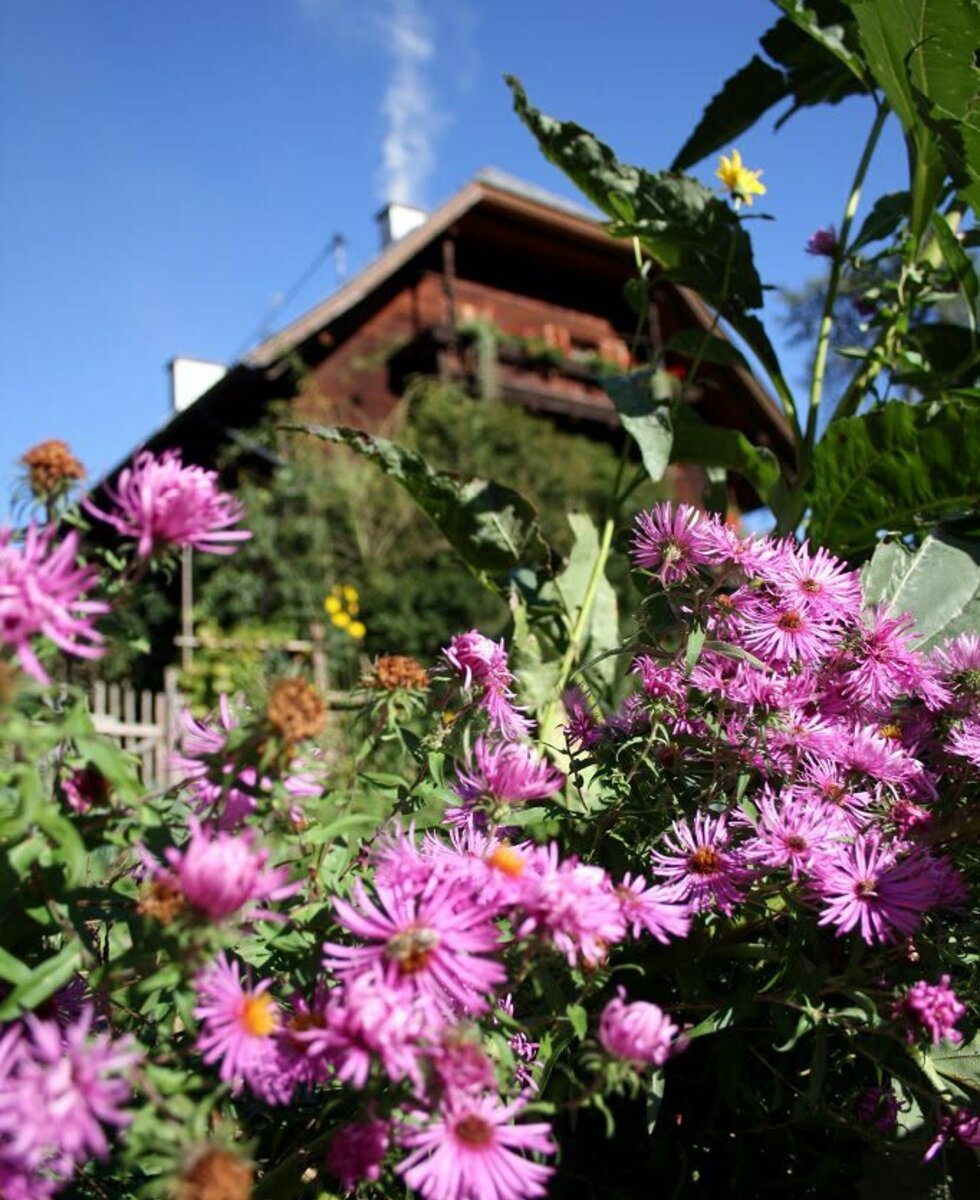 View from the garden to the farmhous