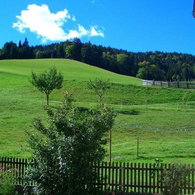 View from the garden of our lush meadows