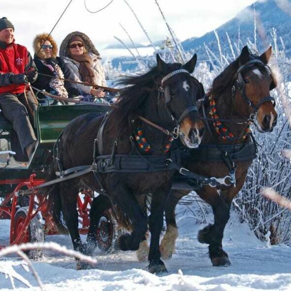 Sleigh ride