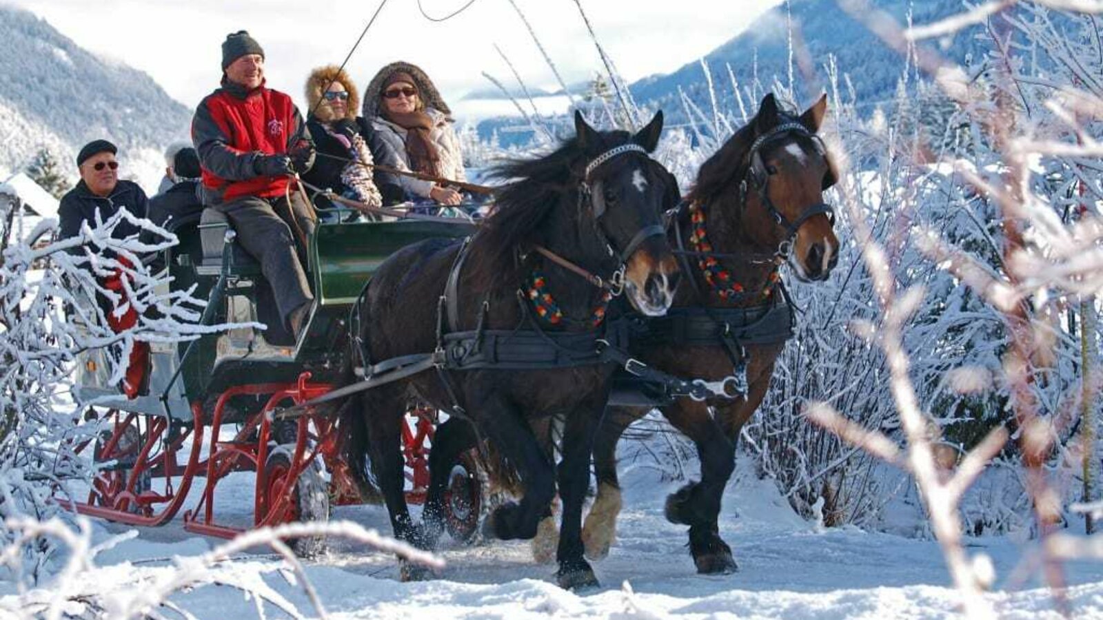 Sleigh ride