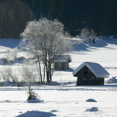 Winter landscape