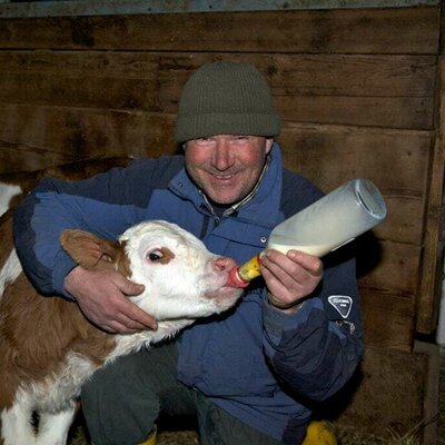 Work in the barn