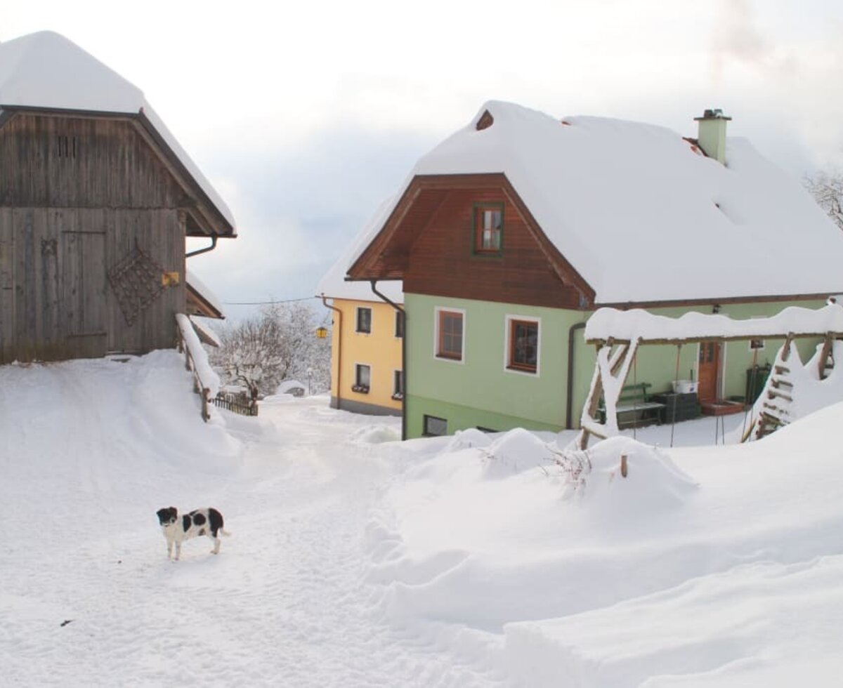 Haus Anderle in the winter