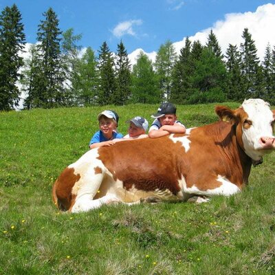 On the alpine pasture