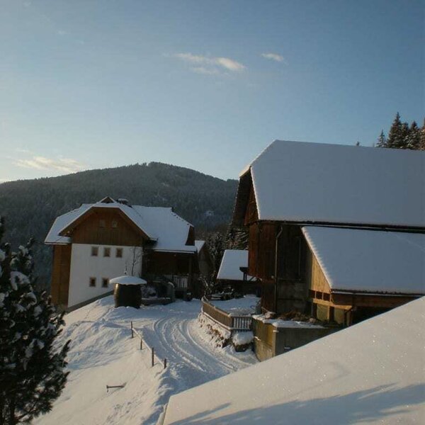 Barn and holiday apartment