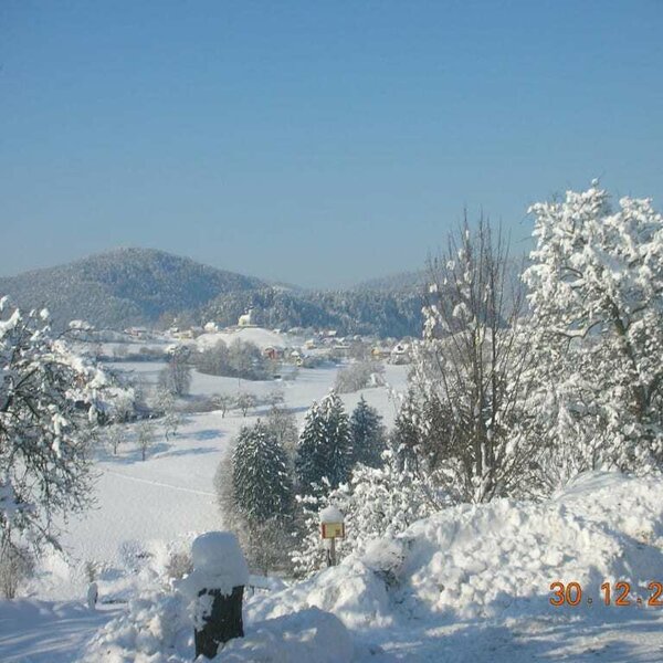 Winter landscape in the farm in Carinthia