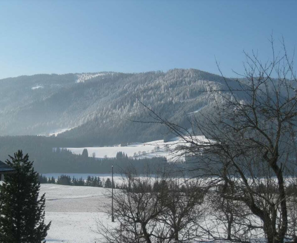 Winter day at Zedlitzdorf