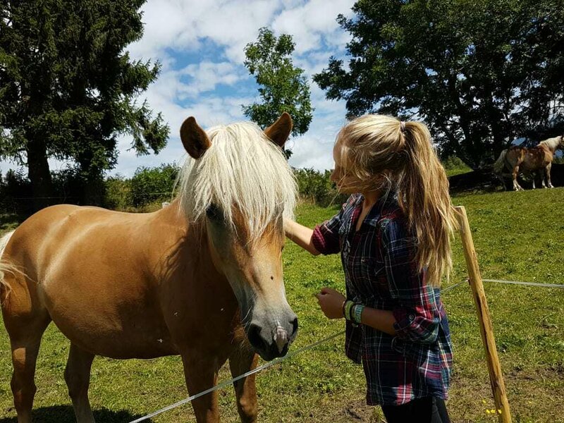 nawu_apartments_farm_horses