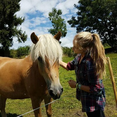 nawu_apartments_farm_horses