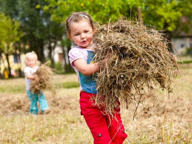 nawu _apartments_farm_help_feed_animals_clean_stable