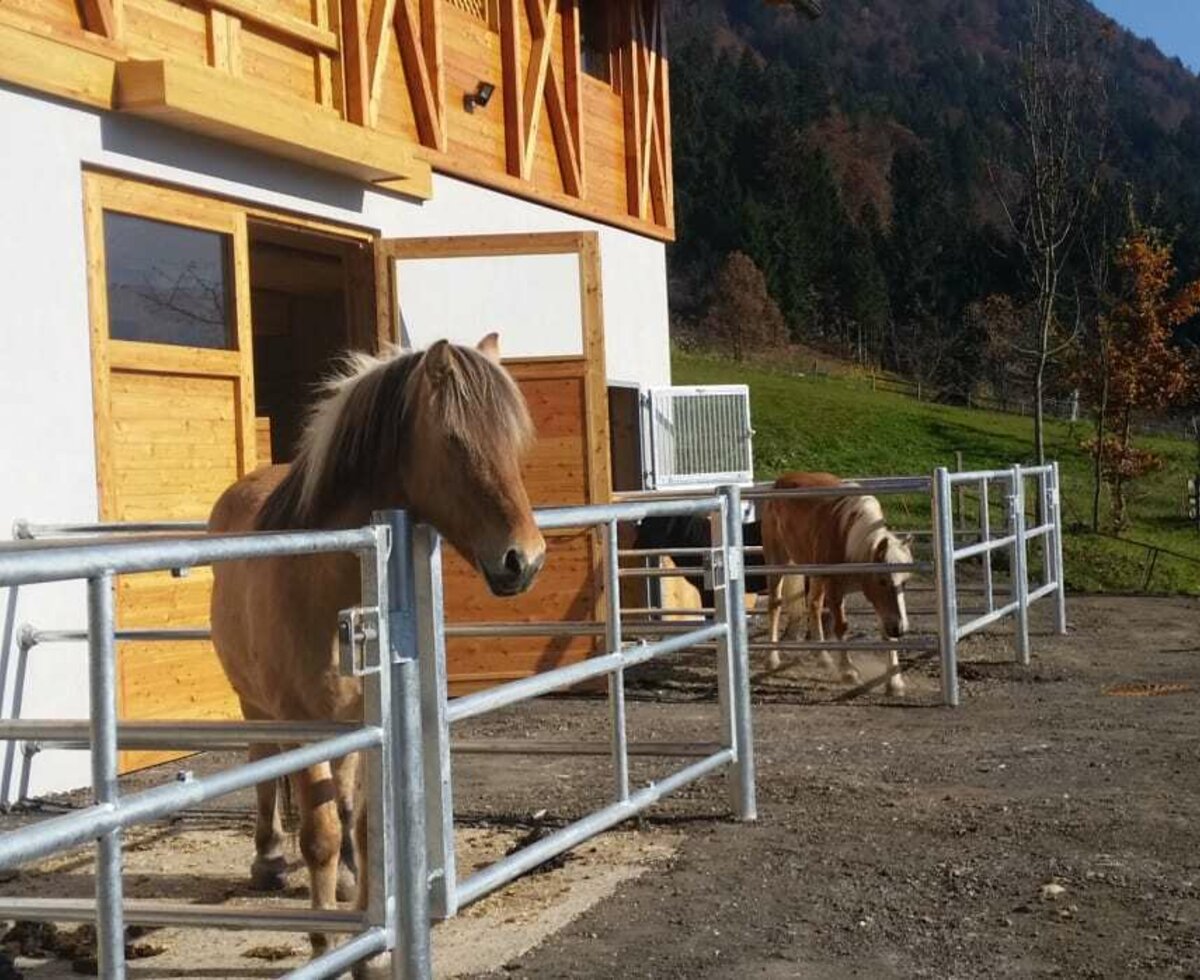 nawu_apartments_farm_horses