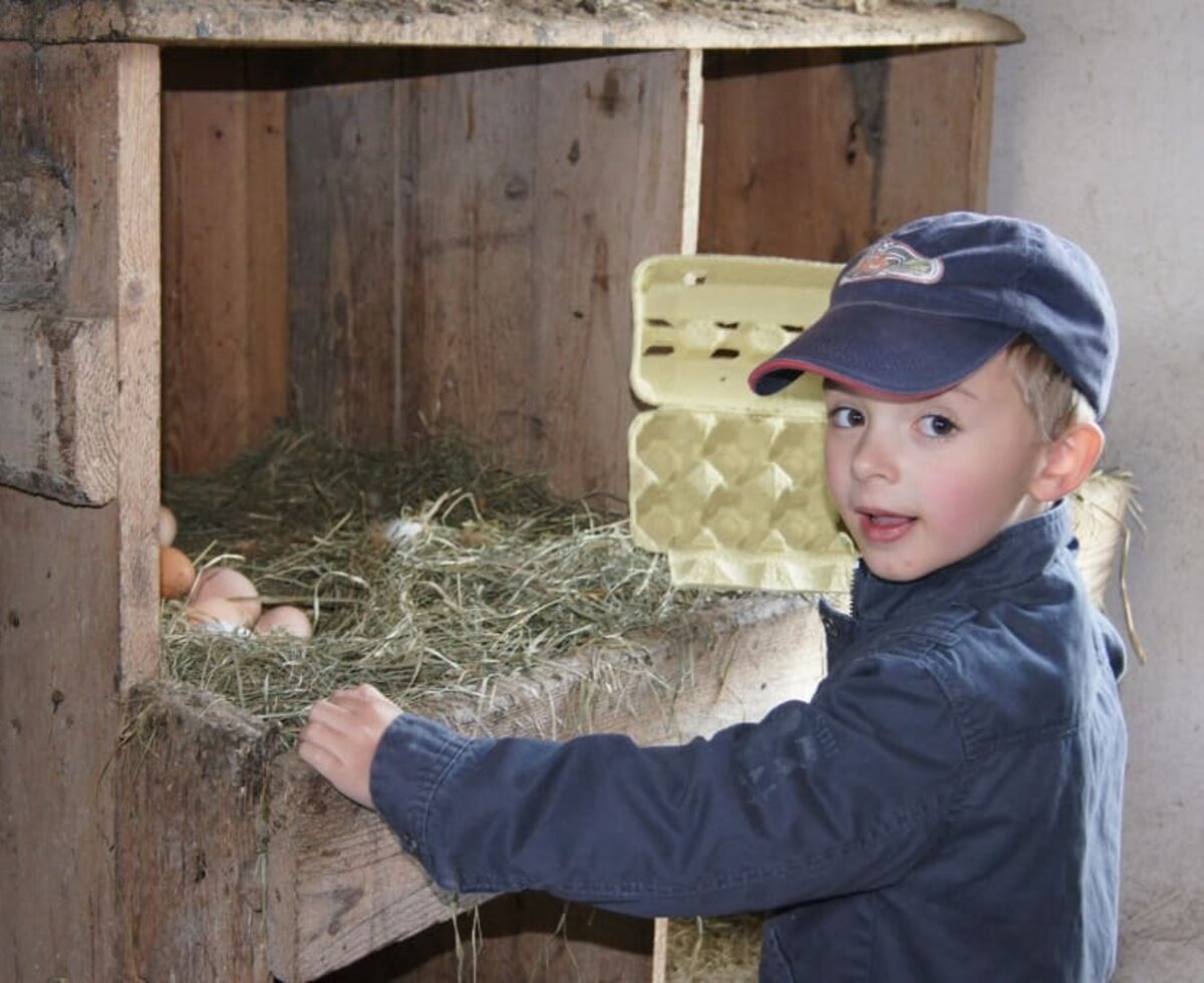 Collecting eggs