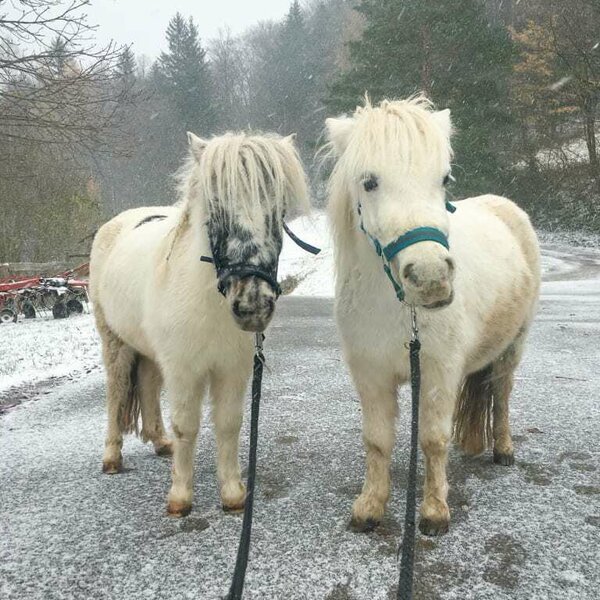 Ari and Mika in winter