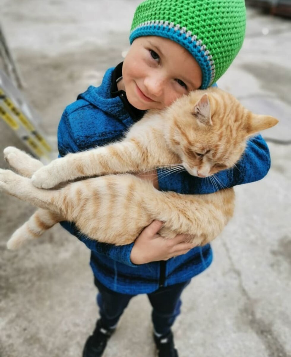 Unser Kater Garfield