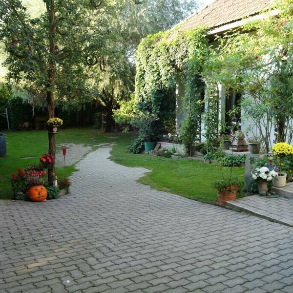 courtyard with a lot of space, a lot of green and very much shadow