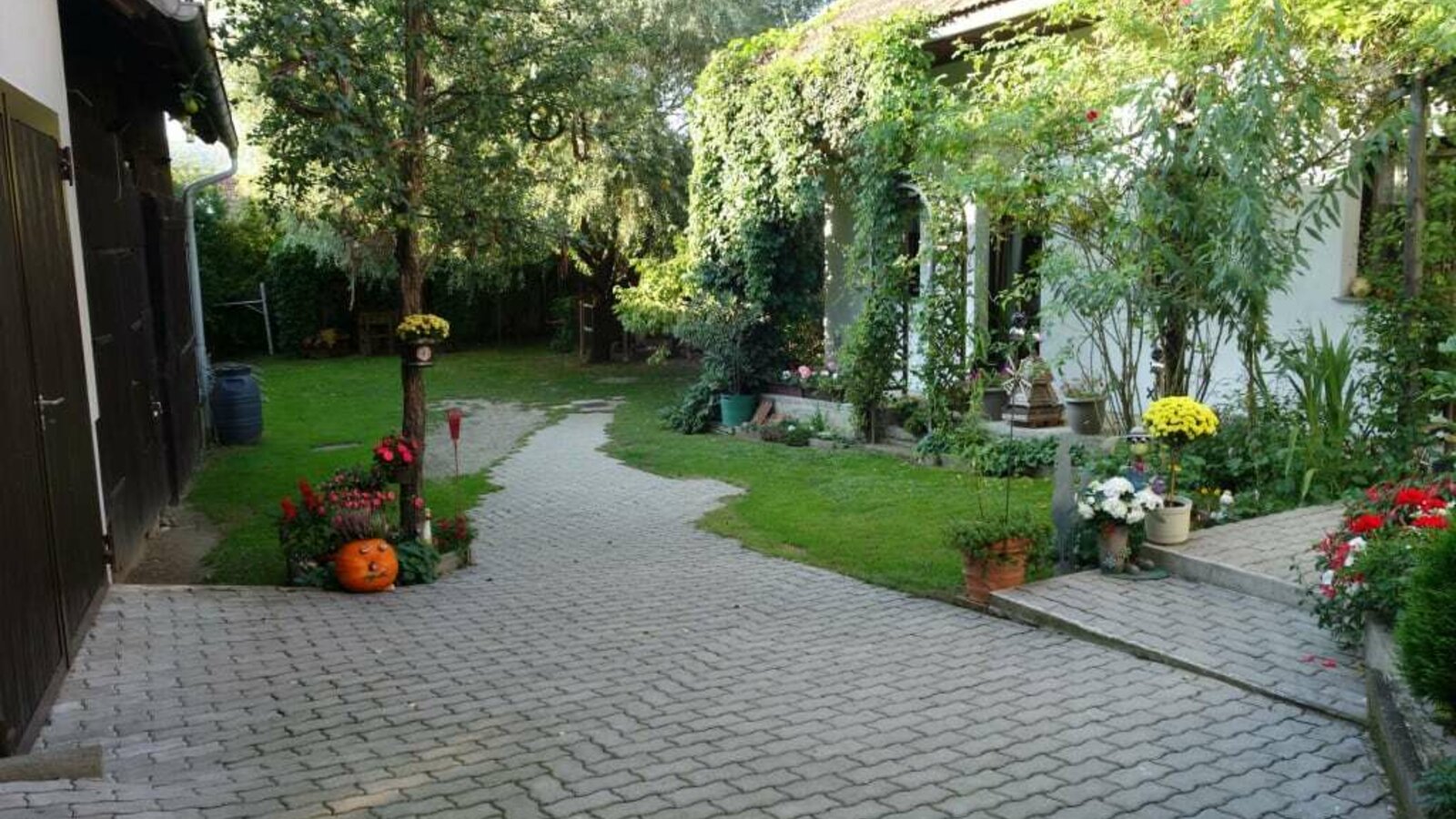 courtyard with a lot of space, a lot of green and very much shadow