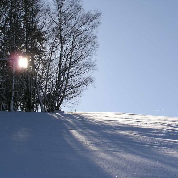 winter on our farm