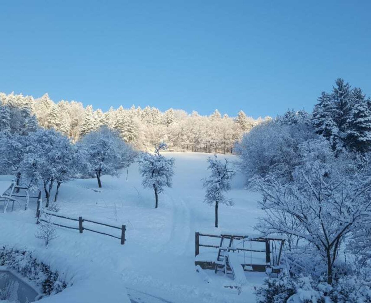 Winter landscape Schrattenbach