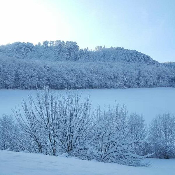 toboggan meadow