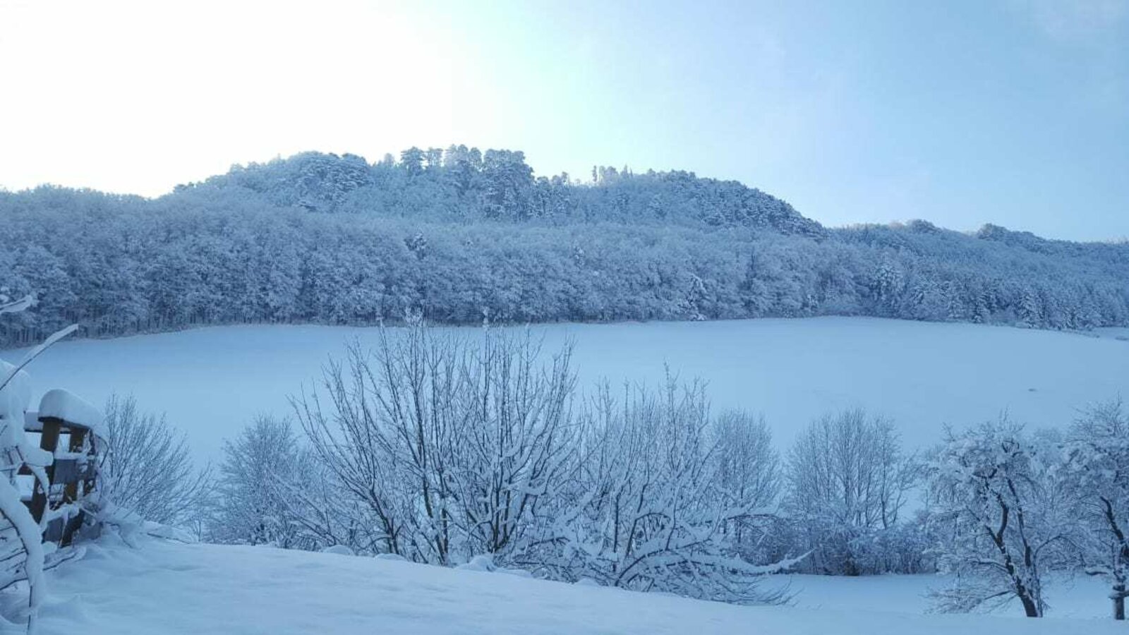 toboggan meadow