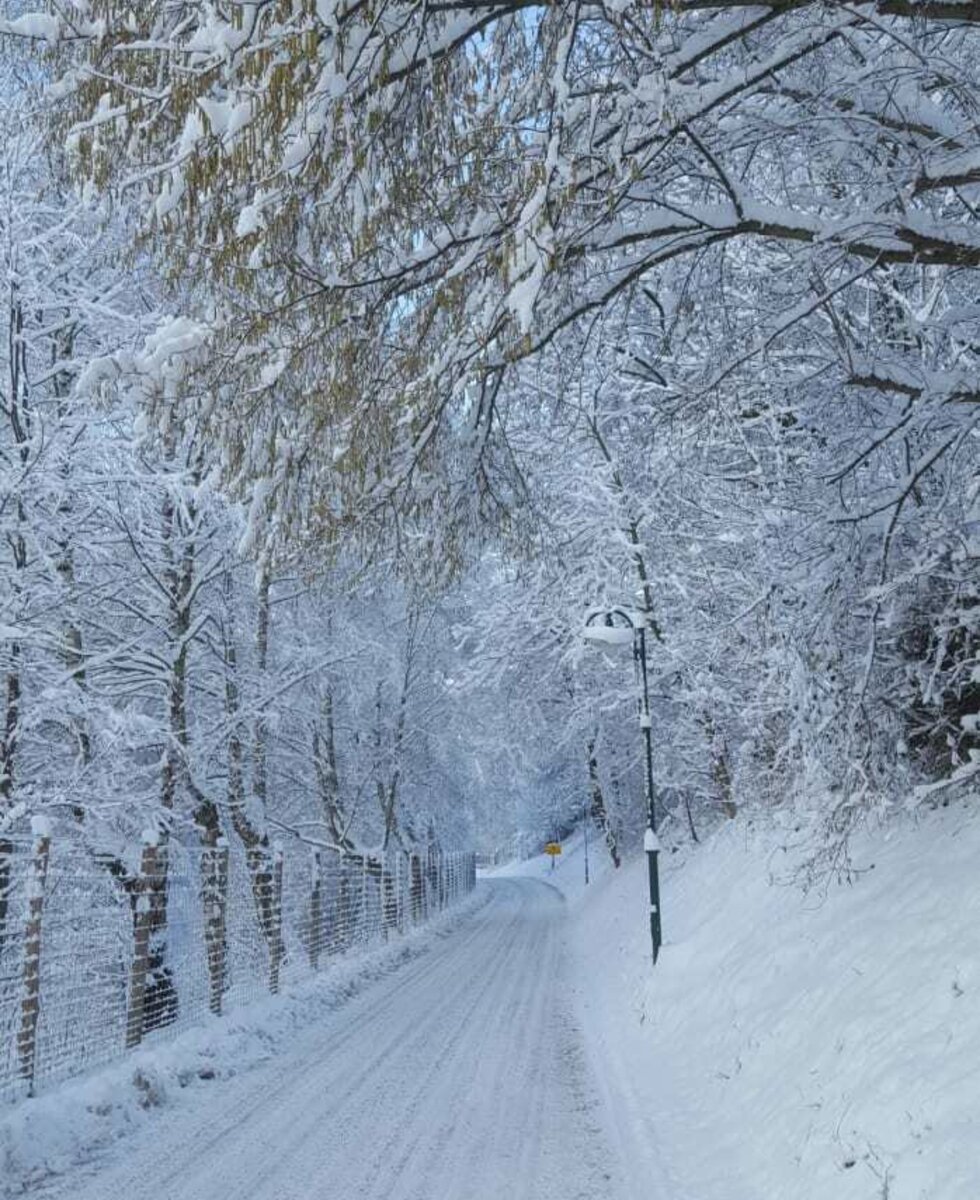 Entry to Schrattenbach in Winter