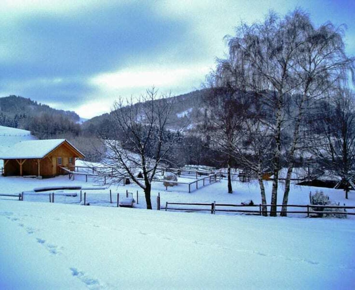 The playground in winter