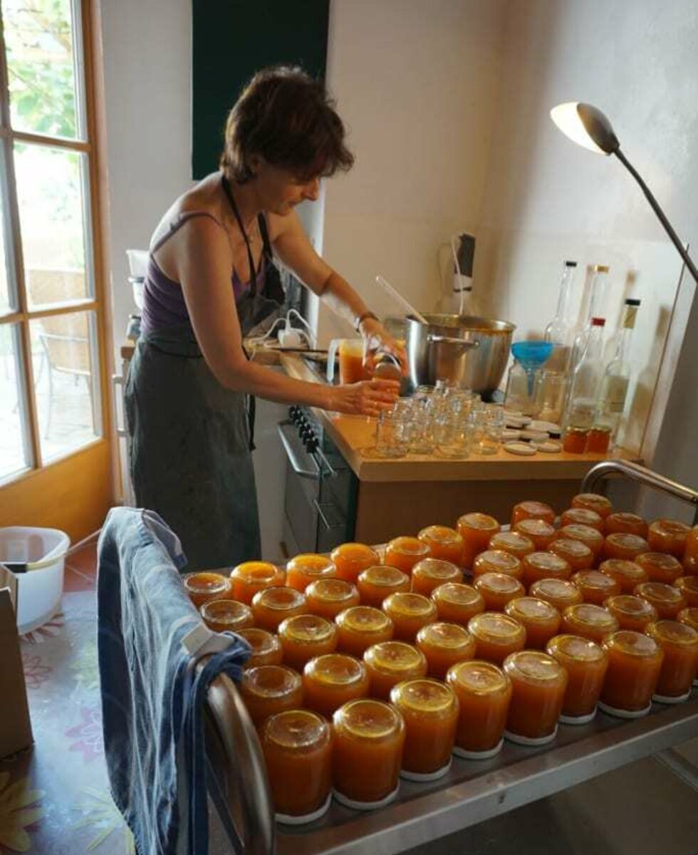 Cooking orginal Apricot jam