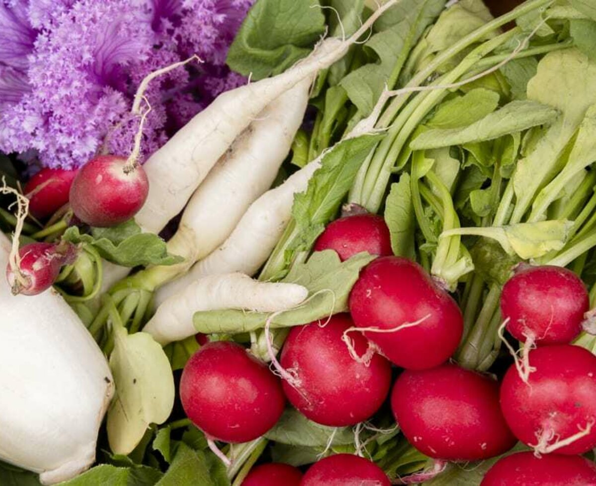 vegetables from the field