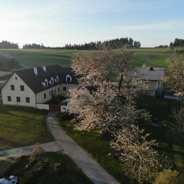 Hacklhof in spring