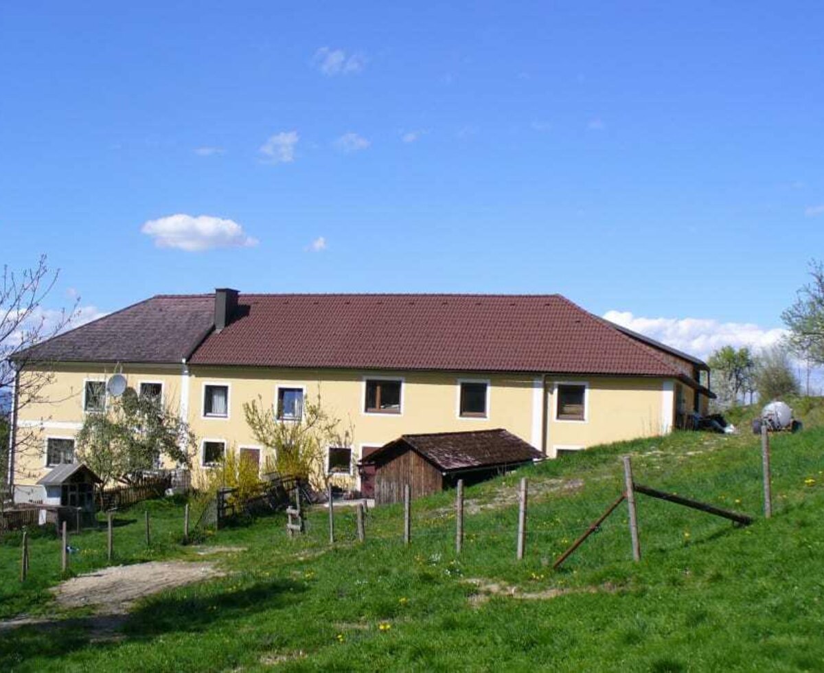 Back view of the farm