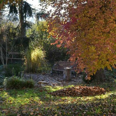 Pond view in autumn