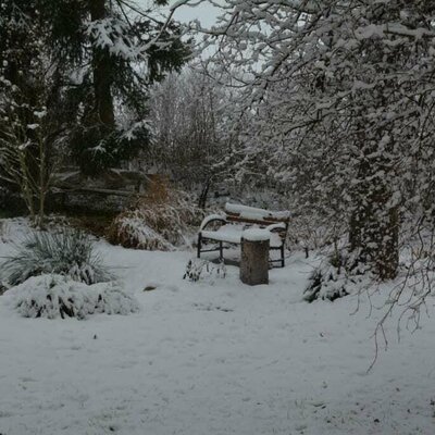 biotope in winter