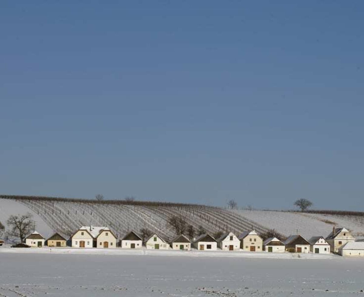 Vineyard and Kellergasse with snow