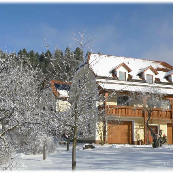 View of house in winter