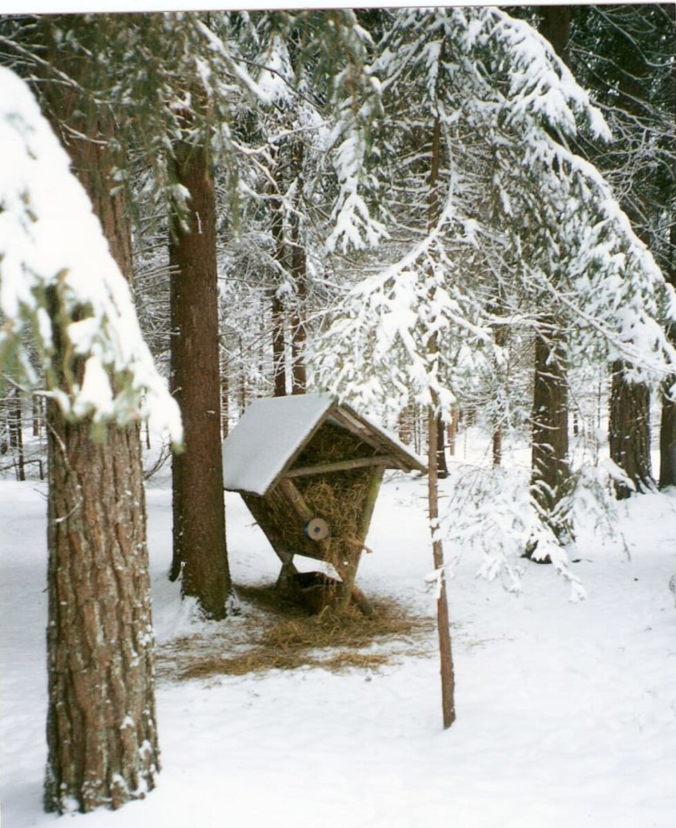 Feeding station