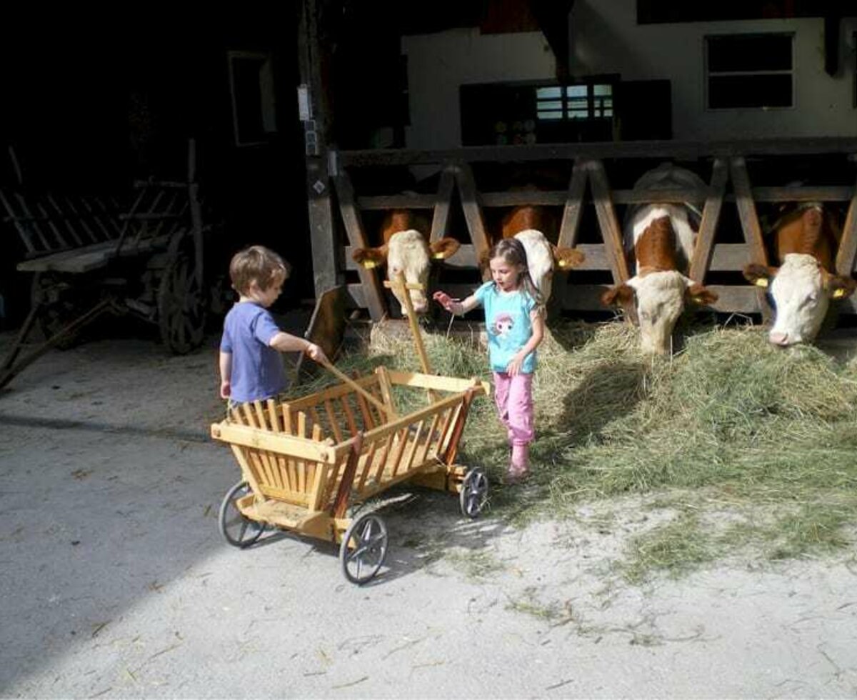 Work in the barn