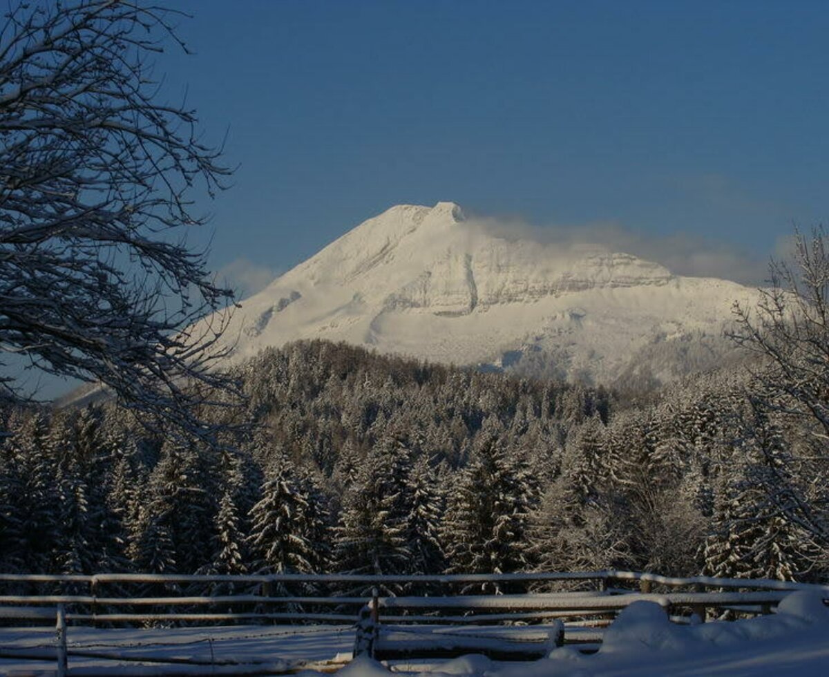 Ötscher - our local mountain