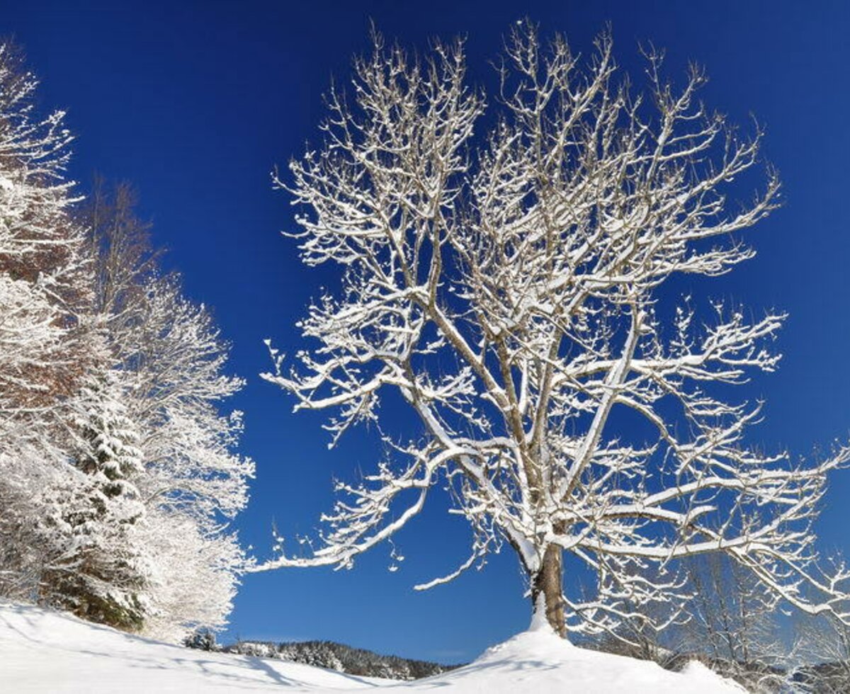 A winter's dream on the doorstep