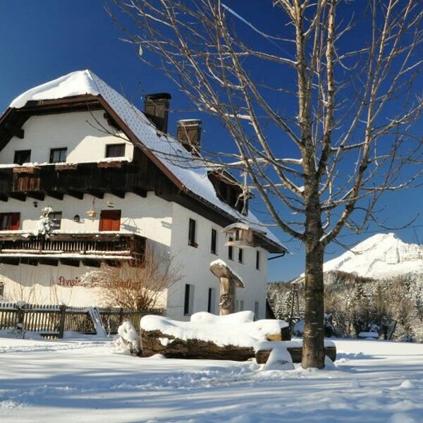 The house in winter