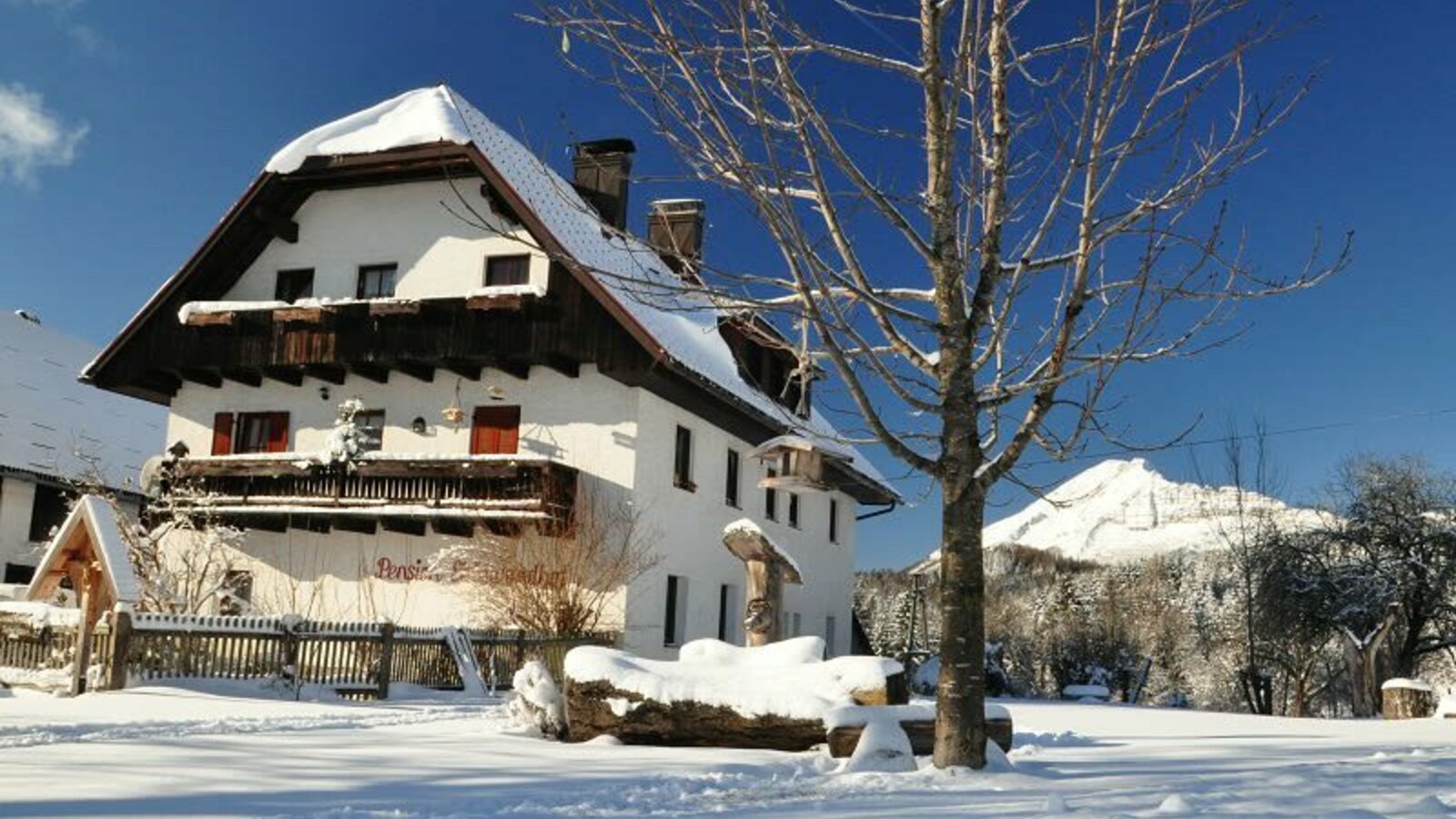 The house in winter