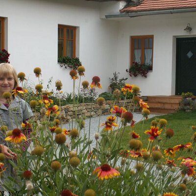 View of courtyard