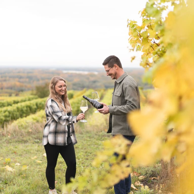 tasing in the vineyards of traisental valley