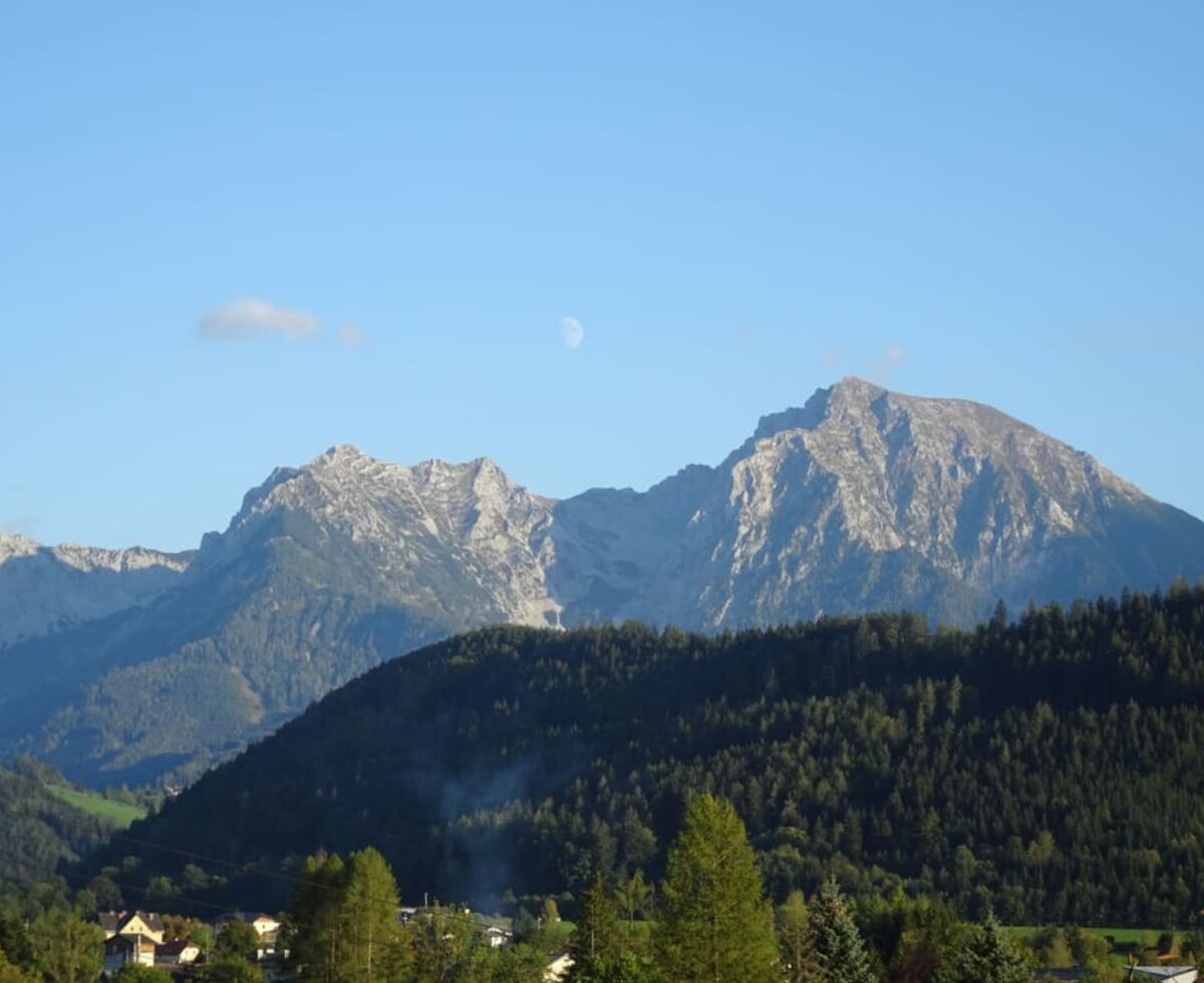 View to the Hallermauern