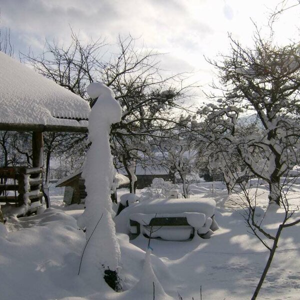 Winter in the garden