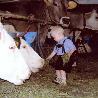 In barn